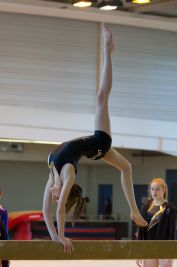 Salomé et Sarah à la poutre